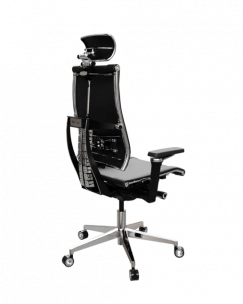 Y 4DF B2-17D - Infinity