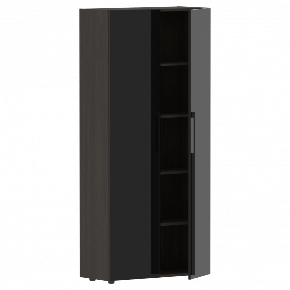 Шкаф высокий глухой СП-064-25-14 900х450х2010 KANON