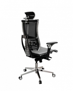 Y 4DF L2-57D - YM93+Infinity